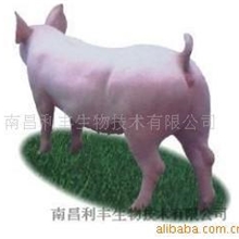 供应猪用饲料添加剂