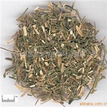 供应穿心莲提取物脱水穿心莲内酯