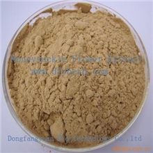 生产厂家优惠供应金银花提取物(图)