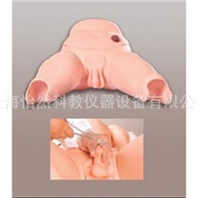 高级男性导尿模型医学模型