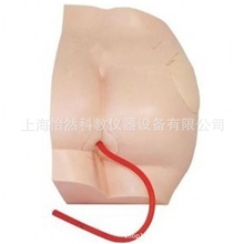 臀部注射模型医学模型