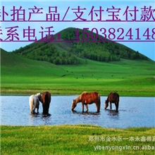 需要补差价/补拍产品/支付宝付款/邮费补拍的客户请拍此链接