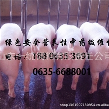 孕育宝（治愈母畜不发情，屡配不怀孕/种公畜性欲低下不配种）