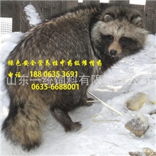 孕育宝（治狐狸貉子水貂不发情不怀孕的良心药，管用的好药）