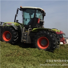 亚芯秸秆青贮剂乳酸菌青贮秸秆乳酸菌青贮饲料乳酸菌发酵秸秆