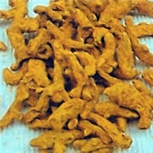 厂家供应姜黄素95%姜黄提取物