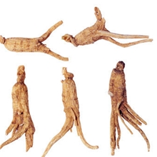 供应西洋参提取物西洋参总皂甙80%