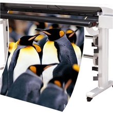 【厂家直销】优质国产写真机欢迎咨询