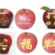 红富士苹果印字红嘎啦苹果印字设备红富士贴字苹果