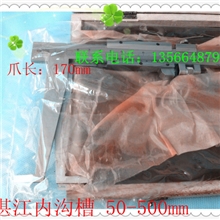 厂家直销湛江高品质内沟槽卡尺50-500mm爪长170mm游标卡尺