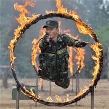 提供玻璃热转印各种彩色图案