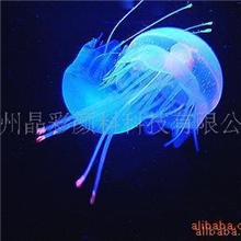 【晶彩】厂家长期批发防伪荧光油漆：用于产品防伪