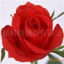 【厂家直供】芳香家居用长效香味粉香味油墨