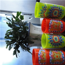 厂家直销，专业生产OPP热转印膜