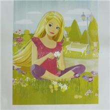 厂家提供热转印烫画数码真空热转印