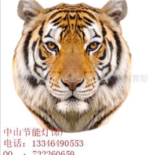 供应LED节能仿真生肖型壁灯