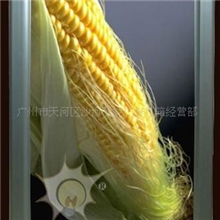 【厂家特价】节能超薄广告灯箱（量大优惠）