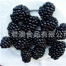 丹东君澳食品常年供应优质黑莓鲜果速冻果蔬批发