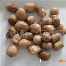 草菇罐头食用菌罐头食品供应