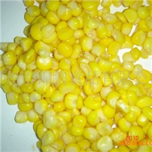 甜玉米罐头蔬菜罐头食品供应(图)