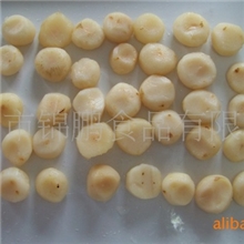 马蹄罐头食品供应