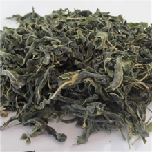 新疆特产极品野生罗布麻茶2013新货调节血压血脂保健茶降三高