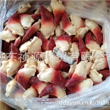 厂家直销北极贝尖（熟）海鲜批发