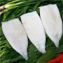 清仓处理供应冷冻鱿鱼筒