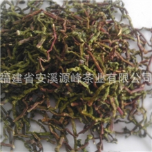 供应安溪铁观音茶梗新鲜茶梗优质茶叶梗山密草展支专用长梗