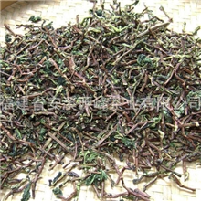 供应新鲜铁观音茶梗铁观音公分梗/短梗低档用茶100起批