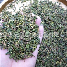 供应安溪秋茶铁观音枝角新鲜铁观音枝角工地餐厅宾馆用茶