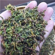 供应大排档专用茶铁观音枝角新鲜铁观音枝角茶角茶片