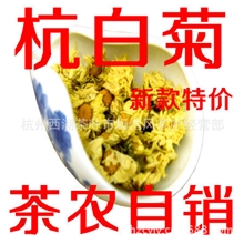 批发零售清香型特级桐乡杭白菊原生态健康花草茶