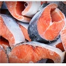供挪威冷冻三文鱼大西洋鲑鱼