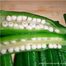 大量供应黄秋葵特色蔬菜冷冻黄秋葵冷冻蔬菜