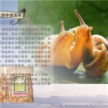 直接供应蜗牛肉速冻蜗牛肉食品速冻肉类食品蜗牛