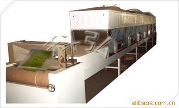 中药丸干燥杀菌设备