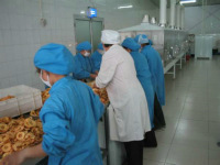 山东济南微波瓜子烘干机