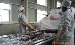 供应红枣干燥设备提供红枣干燥设备