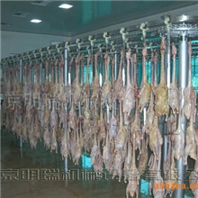 禽类深加工设备-肉类食品的加工设备