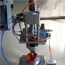 【专业生产】全自动旋盖机/自动旋盖机/旋盖机