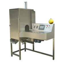 厂家供应柚子削皮机去皮机柚子精油提取设备