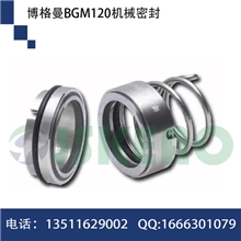 供应博格曼标准120机械密封