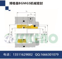 供应博格曼机械密封、博格曼BGMGS机械密封