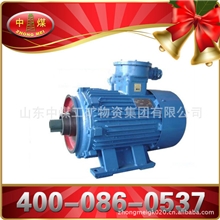 绞车用三相异步YBJ防爆电机