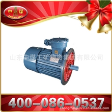防爆三相异步YBB电动机