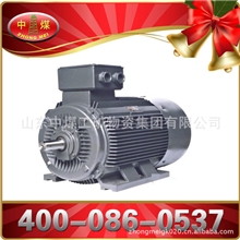 高品质大动力煤矿用三相异步Y2电动机