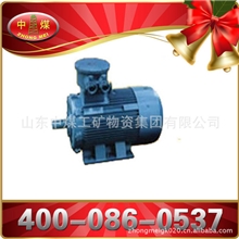 矿用防爆器材YBK2三相异步防爆电机