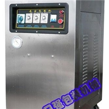 DZQ400-1D单室真空包装机