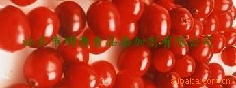 蔓越莓浓缩粉及果干优质食品添加剂香精香料系列